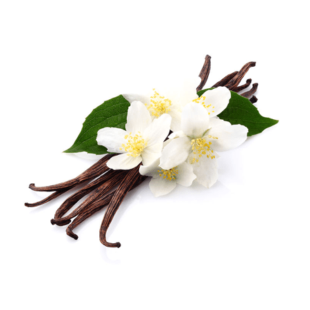 Dark Vanilla