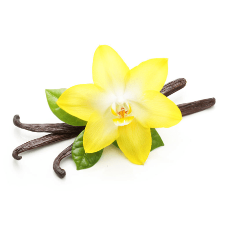 Bergamot Vanilla