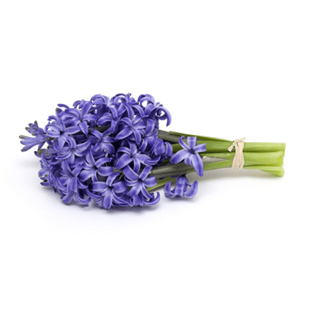 Hyacinth Grass